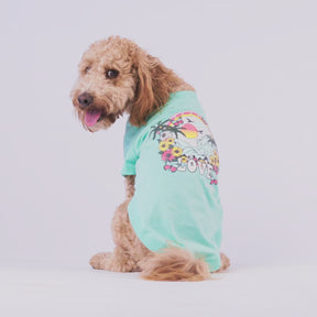 T-shirt graphique pour chien | Aqua bruyère