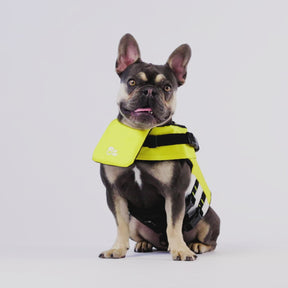 Dog Life Vest | Yellow