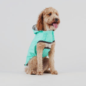 Reversible Dog Raincoat | Neon Aqua & Iridescent