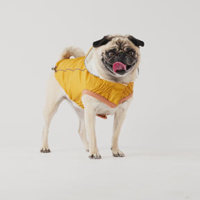 Insulated Dog Raincoat | Yellow