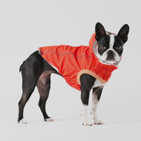 Insulated Dog Raincoat | Orange
