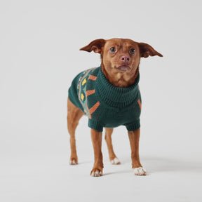 Heritage Dog Sweater | Teal