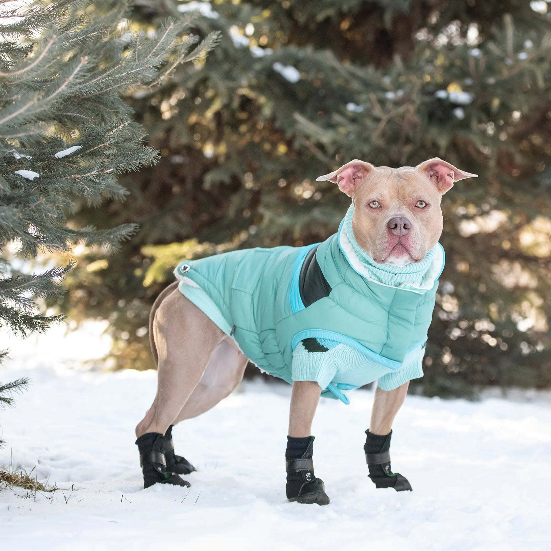 Alpine Puffer Winter Dog Jacket - Light Aqua | GF Pet Online Store