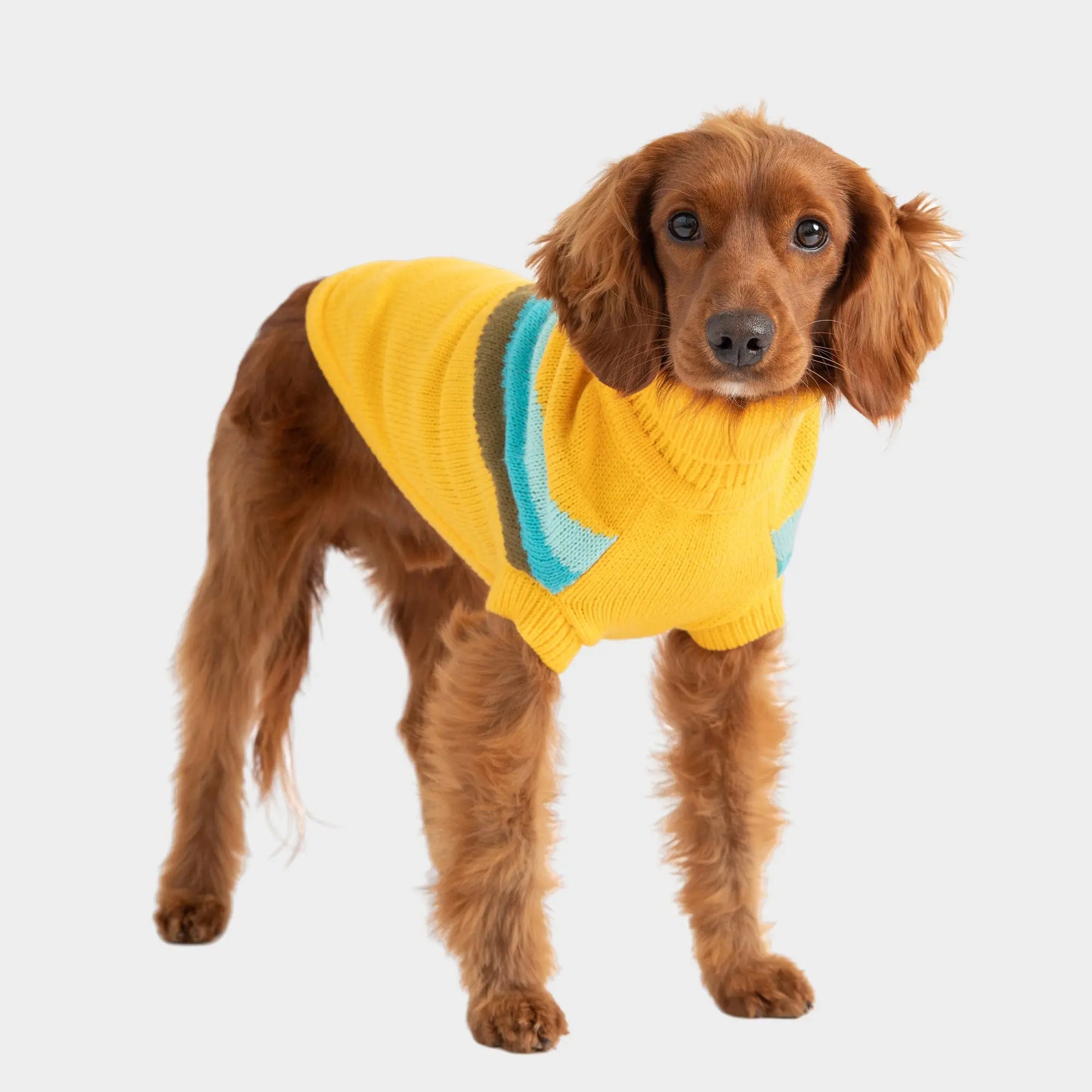 Alpine Sweater - Yellow GF PET