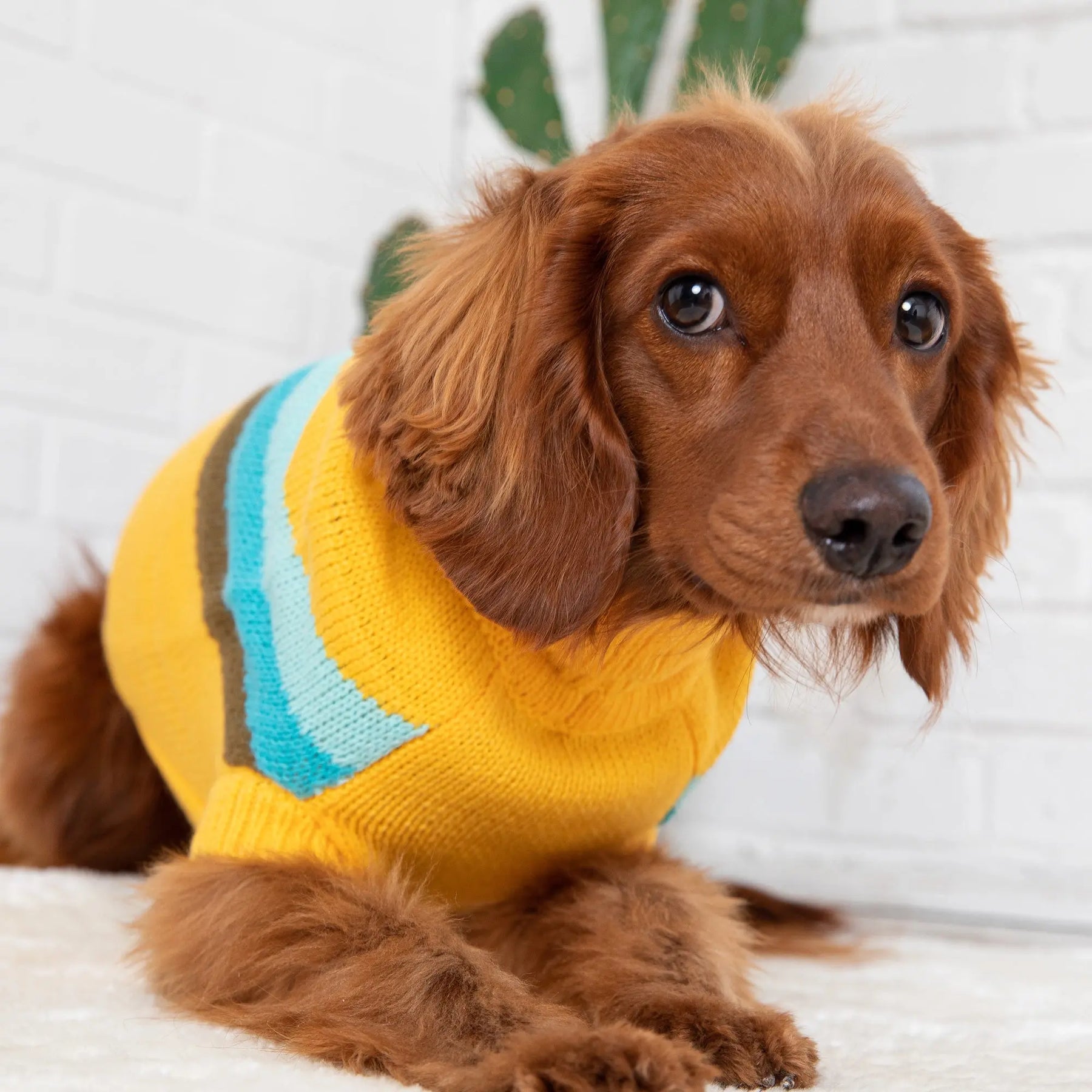 Alpine Sweater - Yellow GF PET