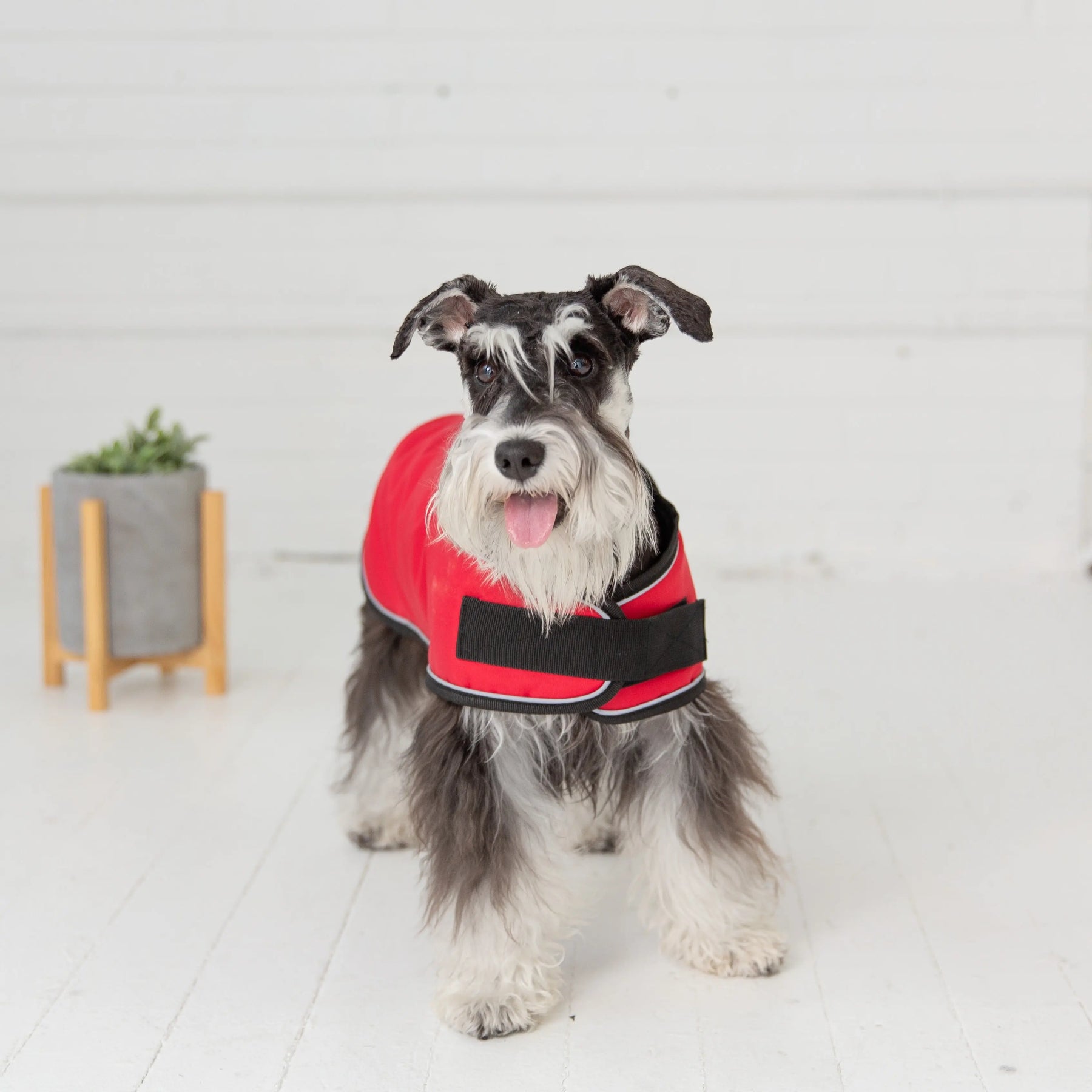 Blanket Jacket - Red GF PET