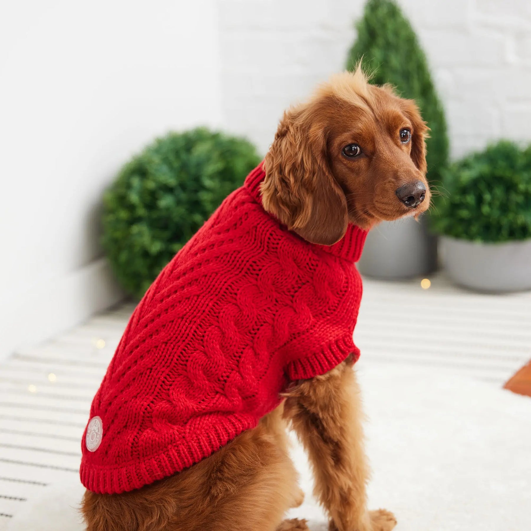 Christmas Sweater Sweaters For Large Breed Dogs Gift Dog Sweater