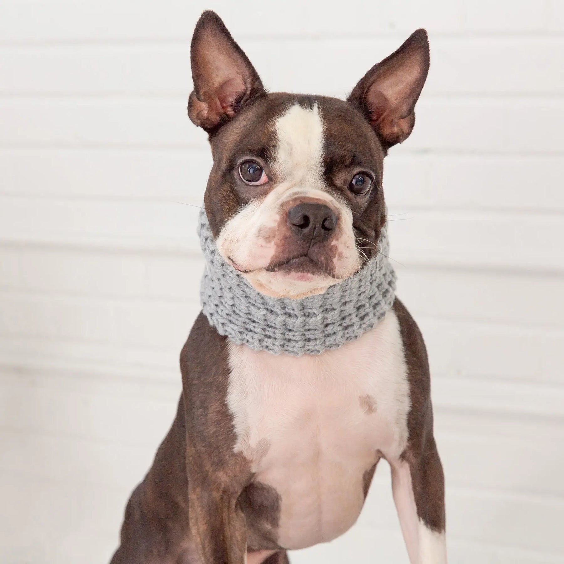 Chalet Tube Scarf | Heather Grey GF PET