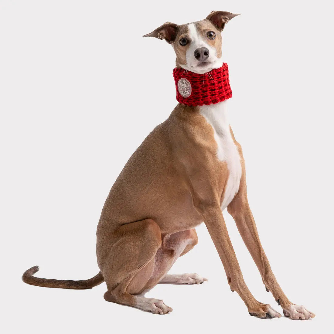 Chalet Tube Scarf | Red GF PET