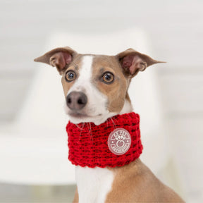 Chalet Tube Scarf | Red GF PET
