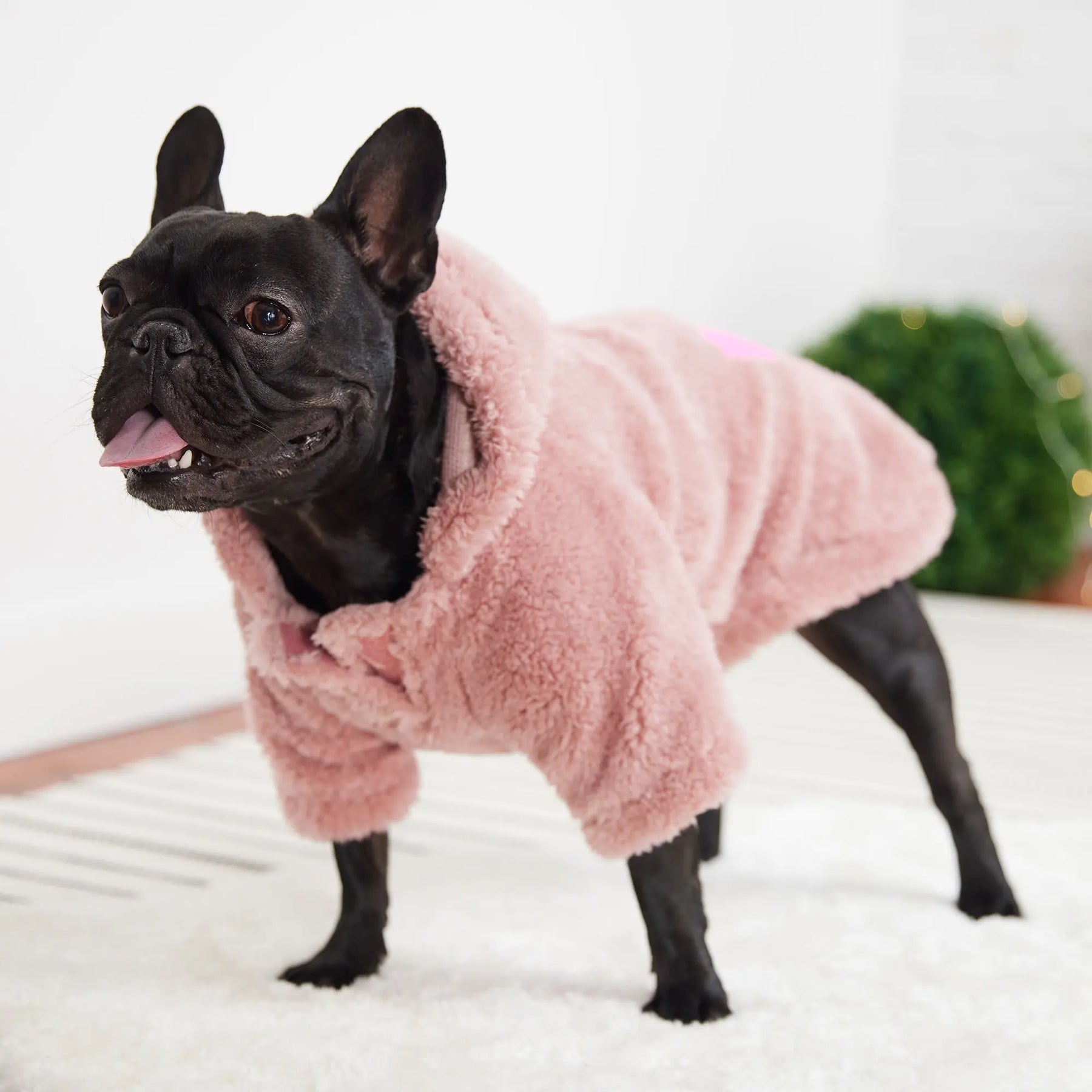 Cozy Dog Hoodie | Pink GF PET Apparel GF Pet Official Online Store