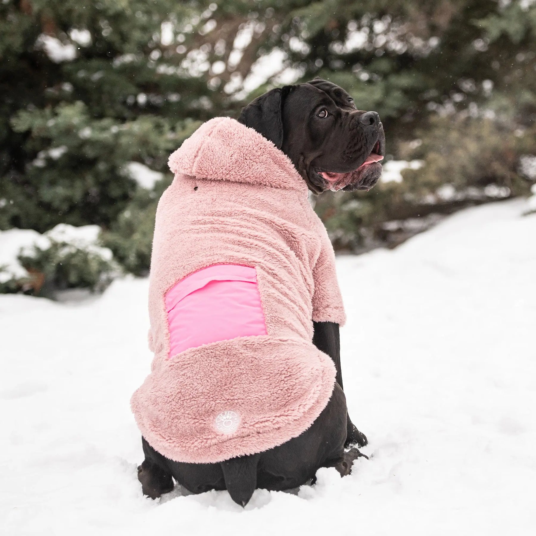 Cozy Dog Hoodie | Pink GF PET Apparel GF Pet Official Online Store