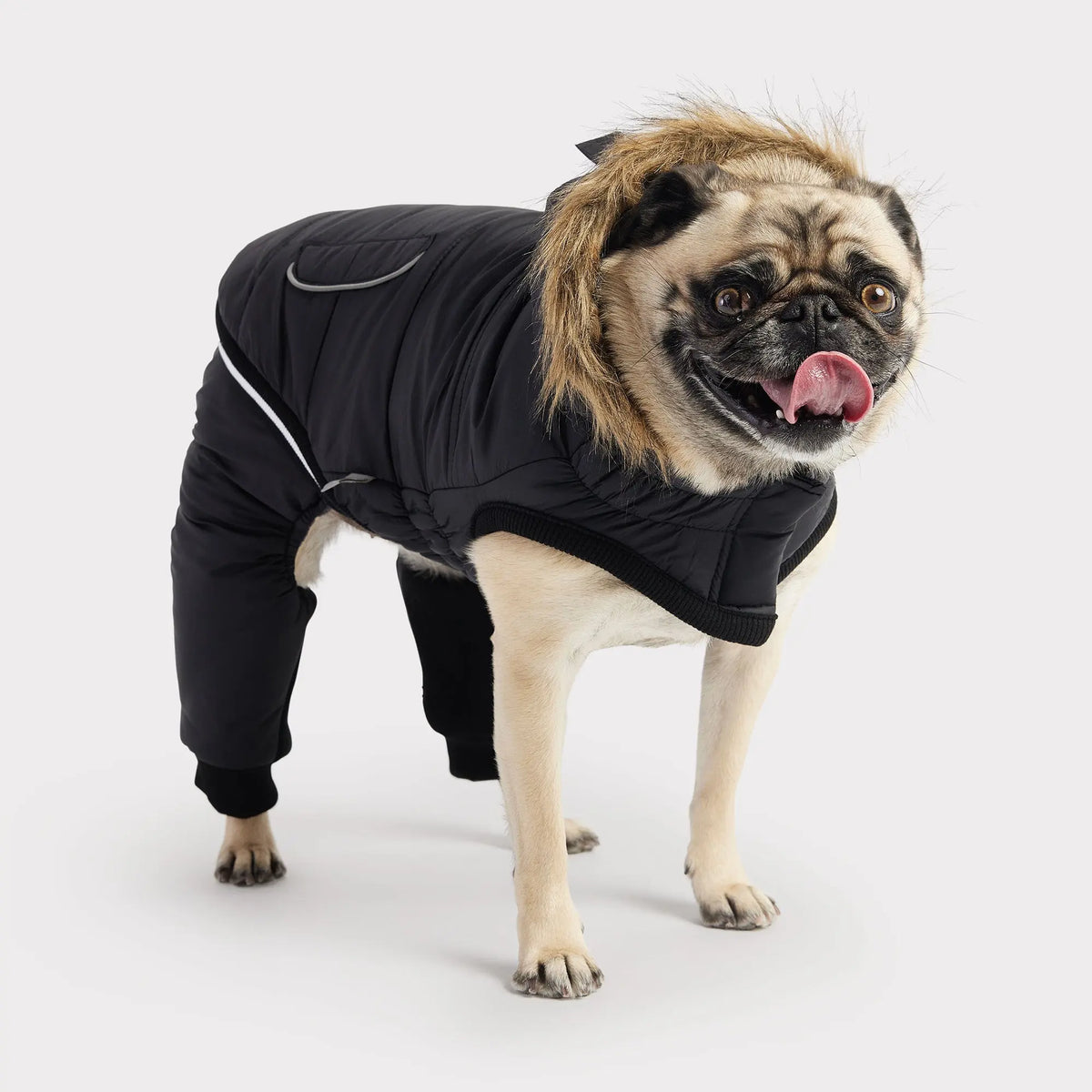 Creekside Dog Snowsuit | Black GF PET Apparel GF Pet Official Online Store