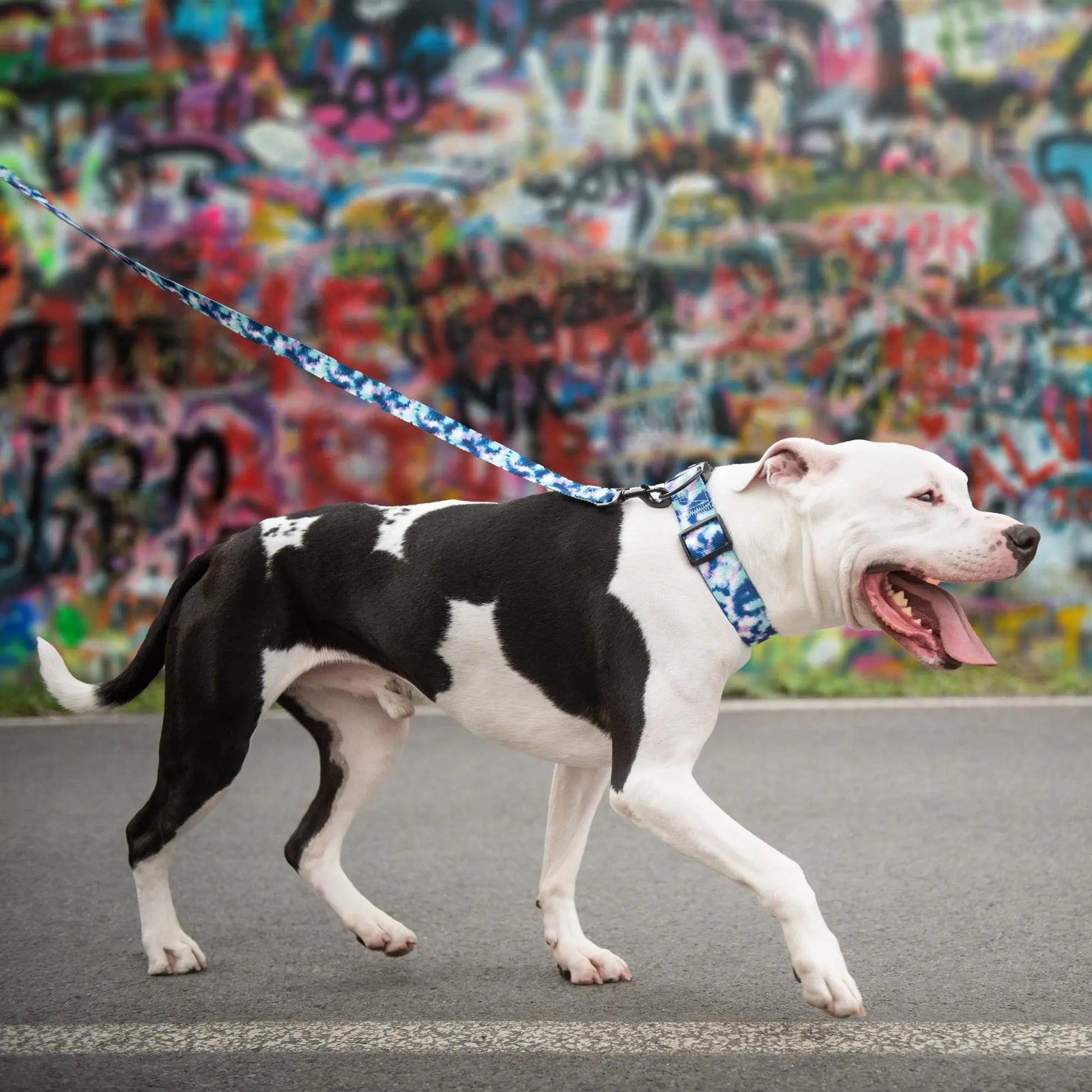 Dog Leash | Tie-Dye GF PET