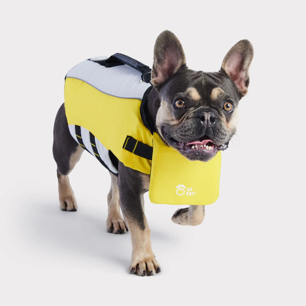 Dog Life Jacket — GF PET® Dog LIFE VEST Bright Yellow Brave Bark
