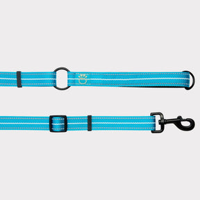 EEZY-6® Reflective Dog Leash | Neon Blue GF PET