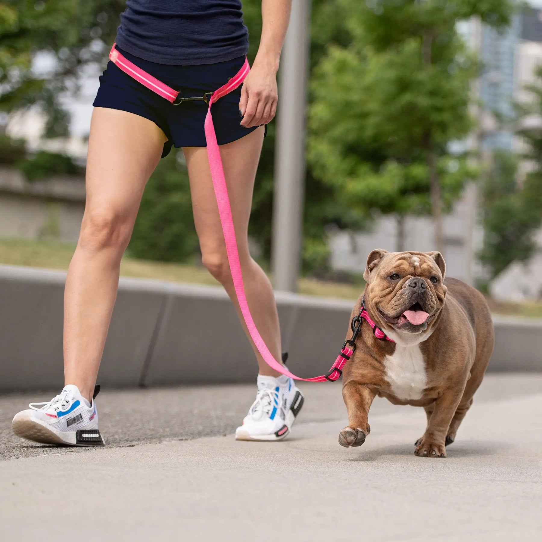 EEZY-6® Reflective Dog Leash | Neon Pink GF PET