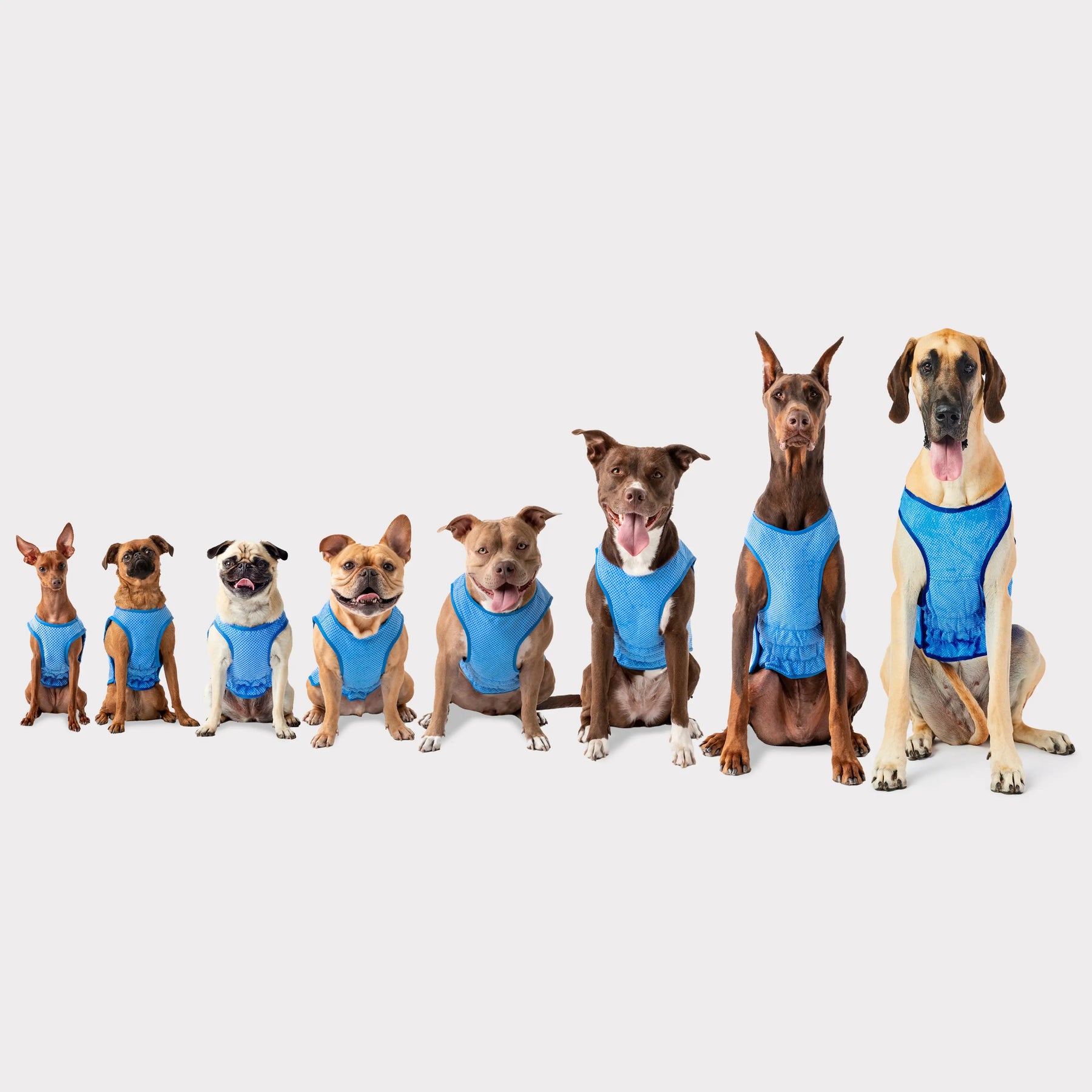 Elasto-Fit® Ice Vest® | Dog Cooling Vest GF PET Cooling GF Pet Official Online Store