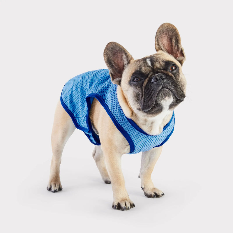 Dog Cooling Vest — GF PET® ICE VEST® with ELASTOFIT®