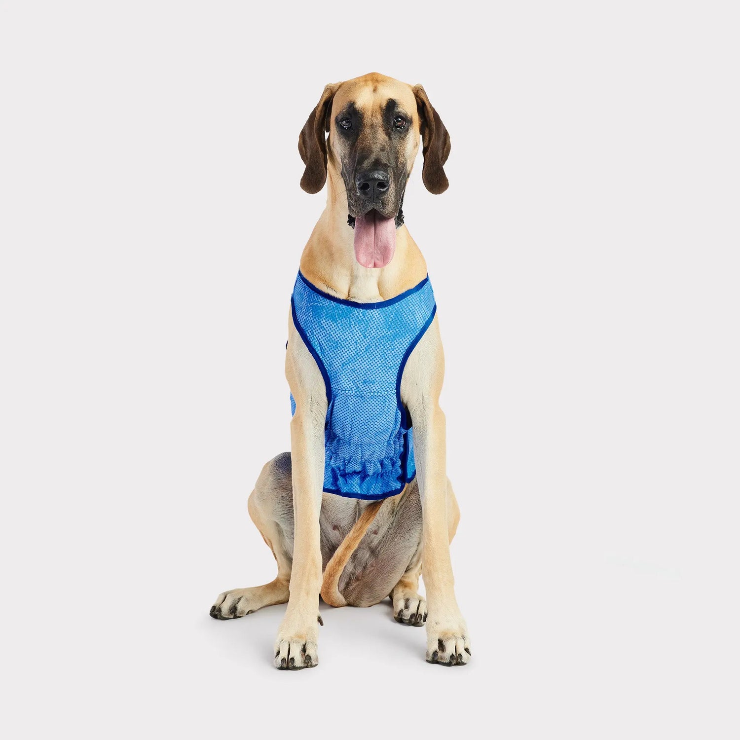 Dog Cooling Vest — GF PET® ICE VEST® with ELASTOFIT®