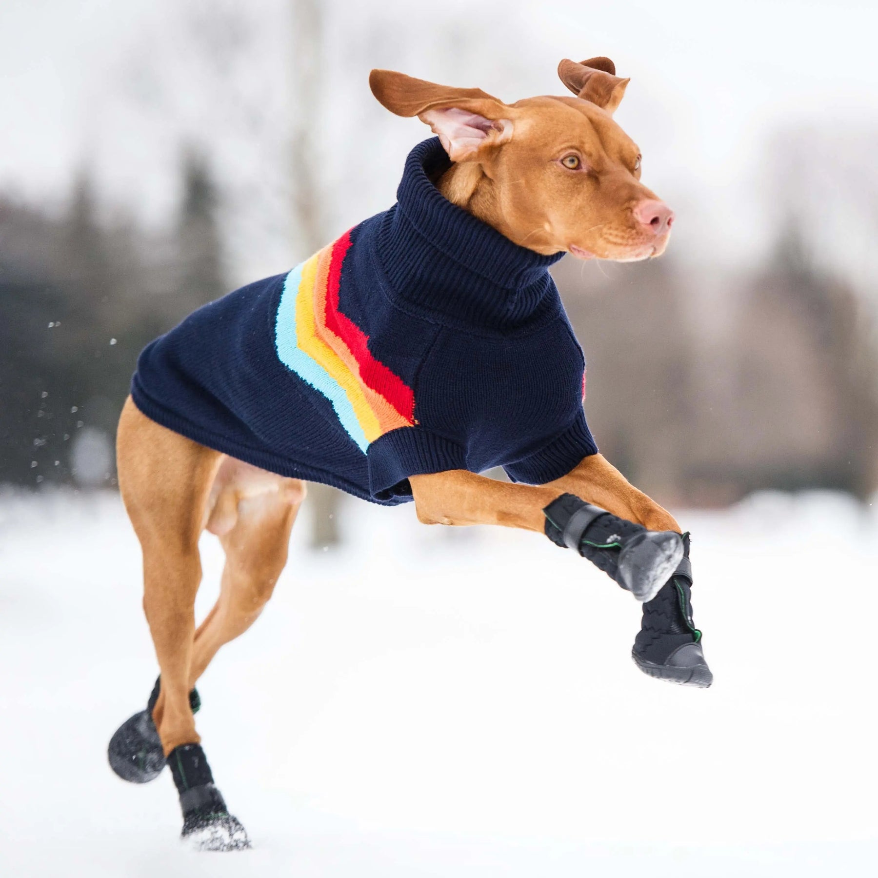 Elasto-fit® Boots GF PET