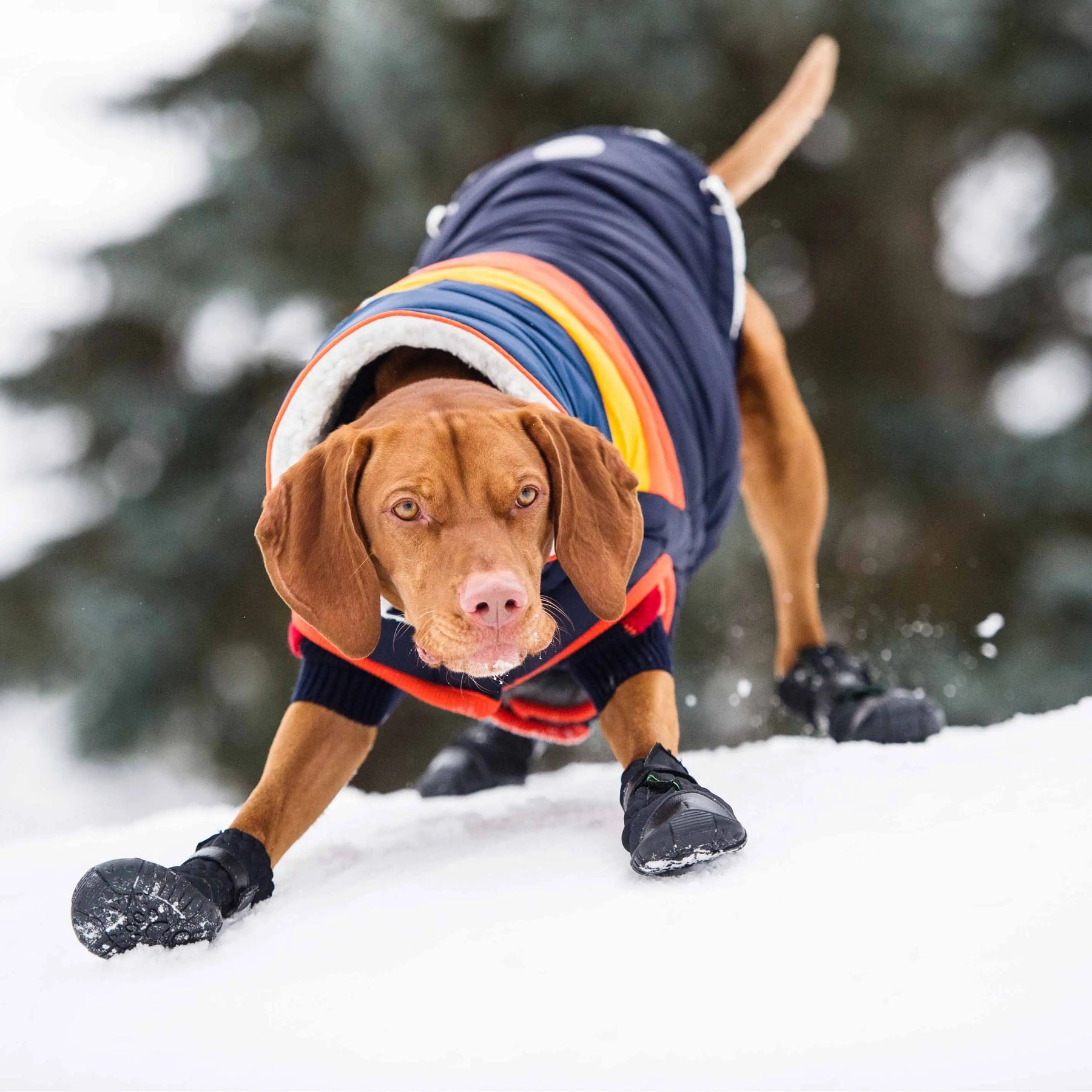 Elasto-fit® Dog Boots, Winter Dog Boots