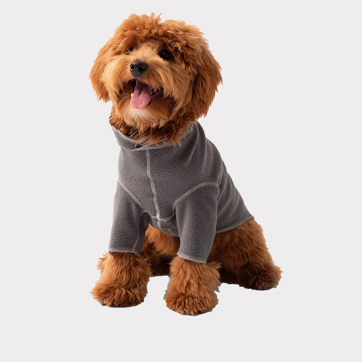 Gondola Base Layer for Dogs  Charcoal - GF Pet Official Online Store