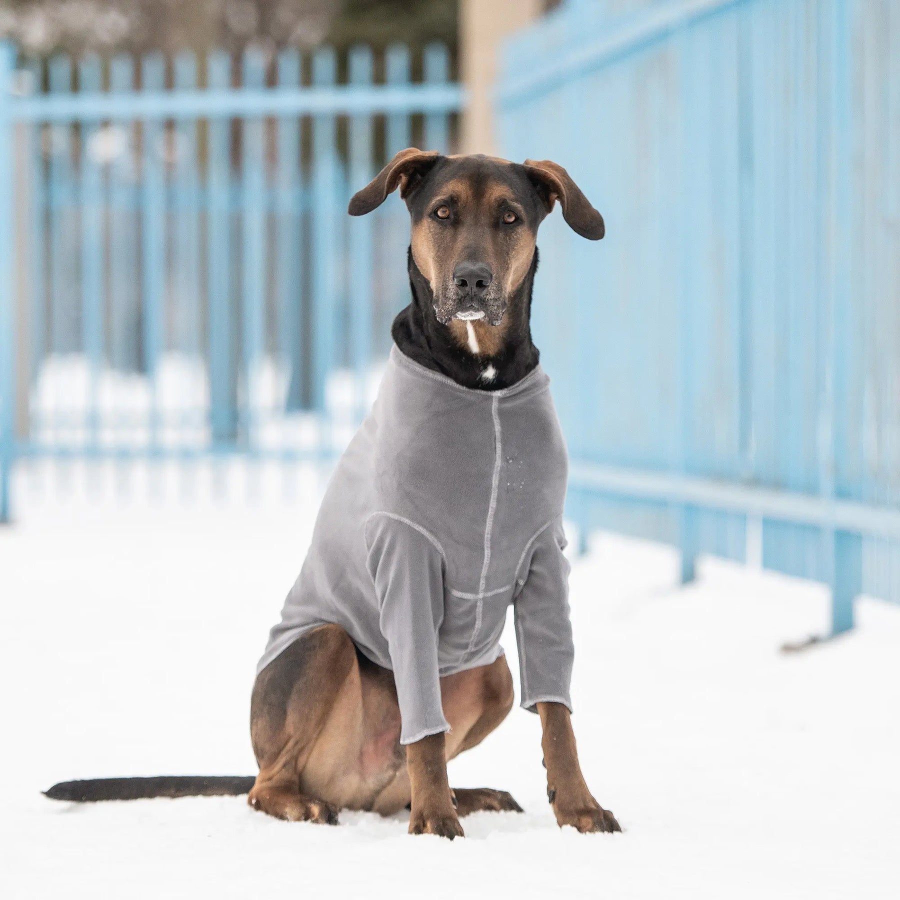 Gondola Base Layer | Charcoal GF PET