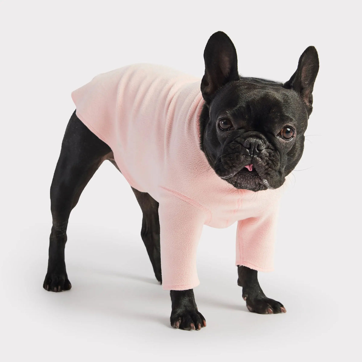 Gondola Base Layer for Dogs Pink