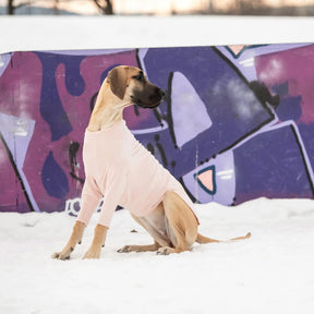 Gondola Base Layer for Dogs | Pink GF PET Apparel GF Pet Official Online Store
