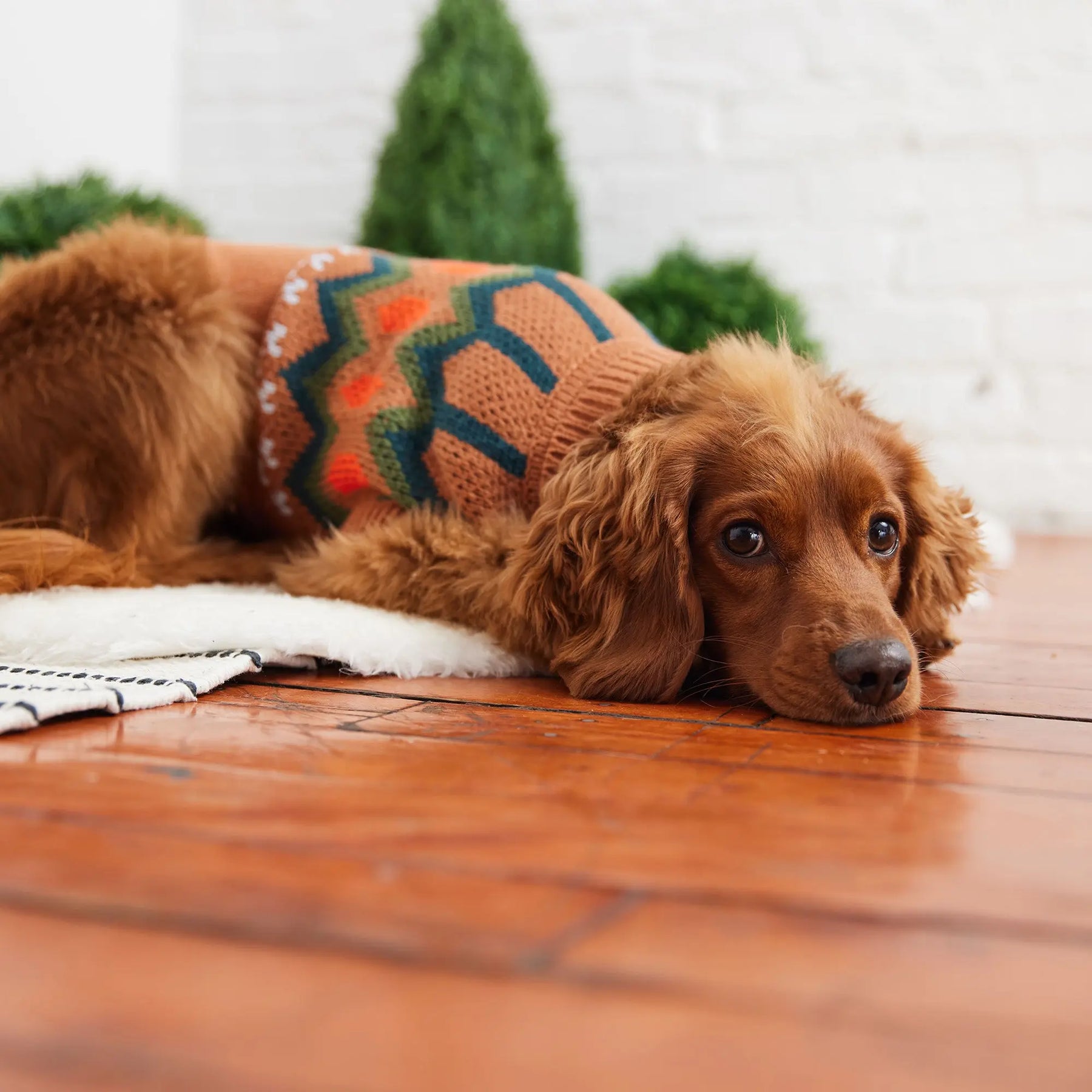 Heritage Dog Sweater | Hazel GF PET Apparel GF Pet Official Online Store