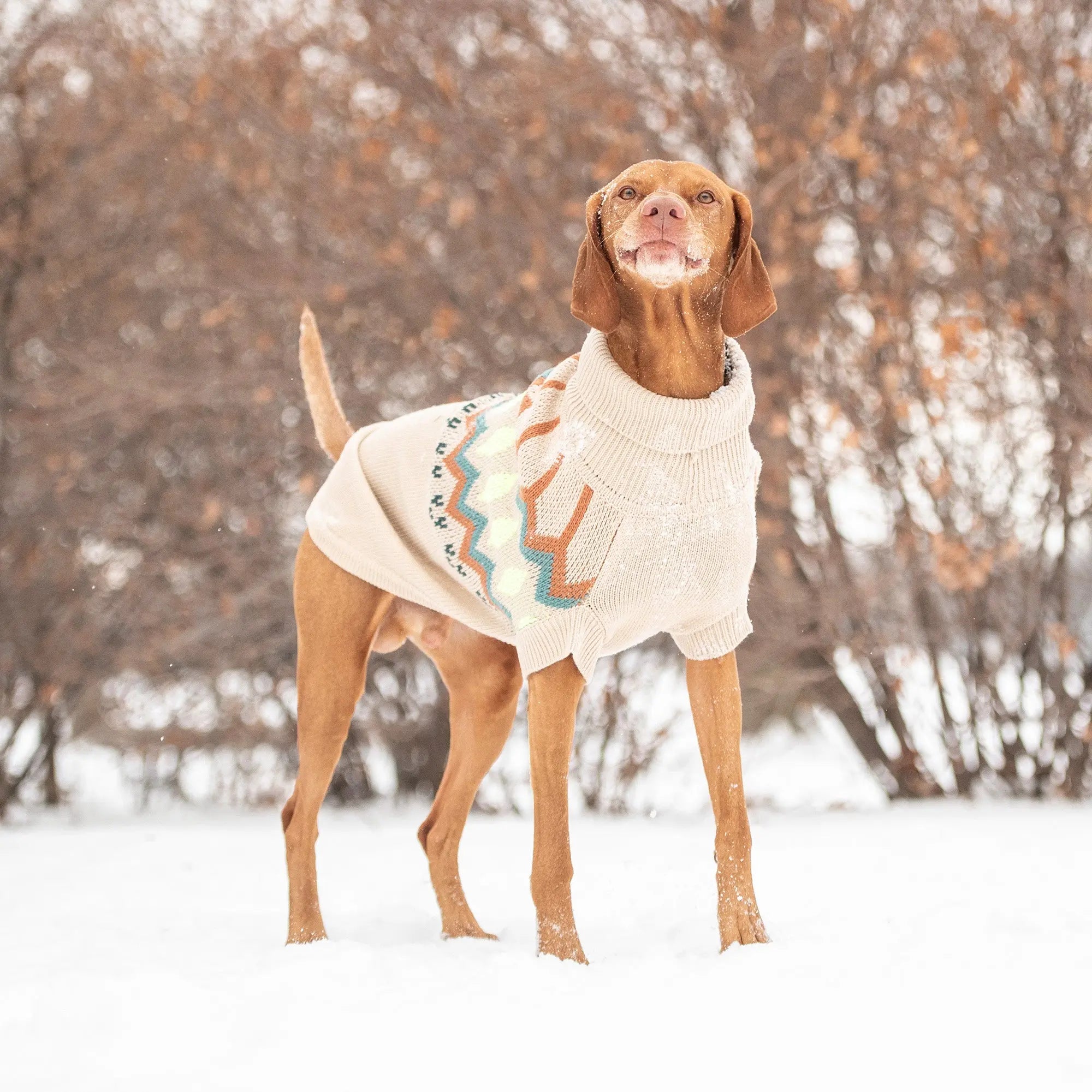GF Pet® Heritage Dog Sweater — Sand — Winter Sweaters for Dogs