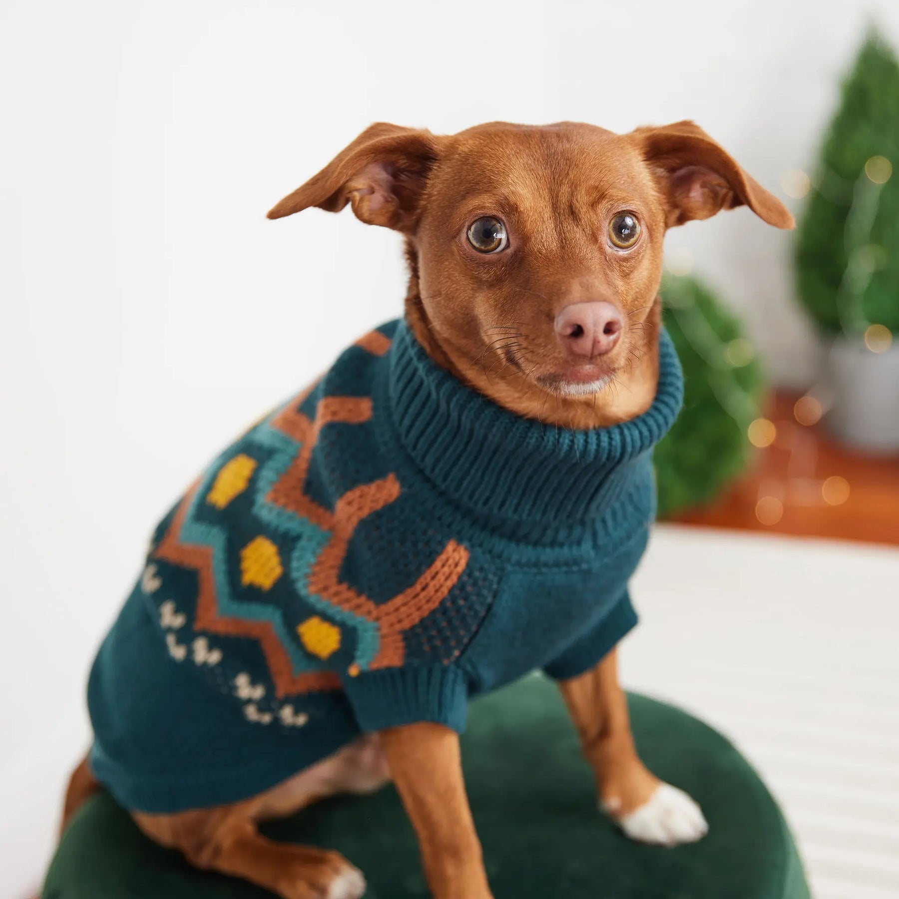 Heritage Dog Sweater | Teal GF PET Apparel GF Pet Official Online Store