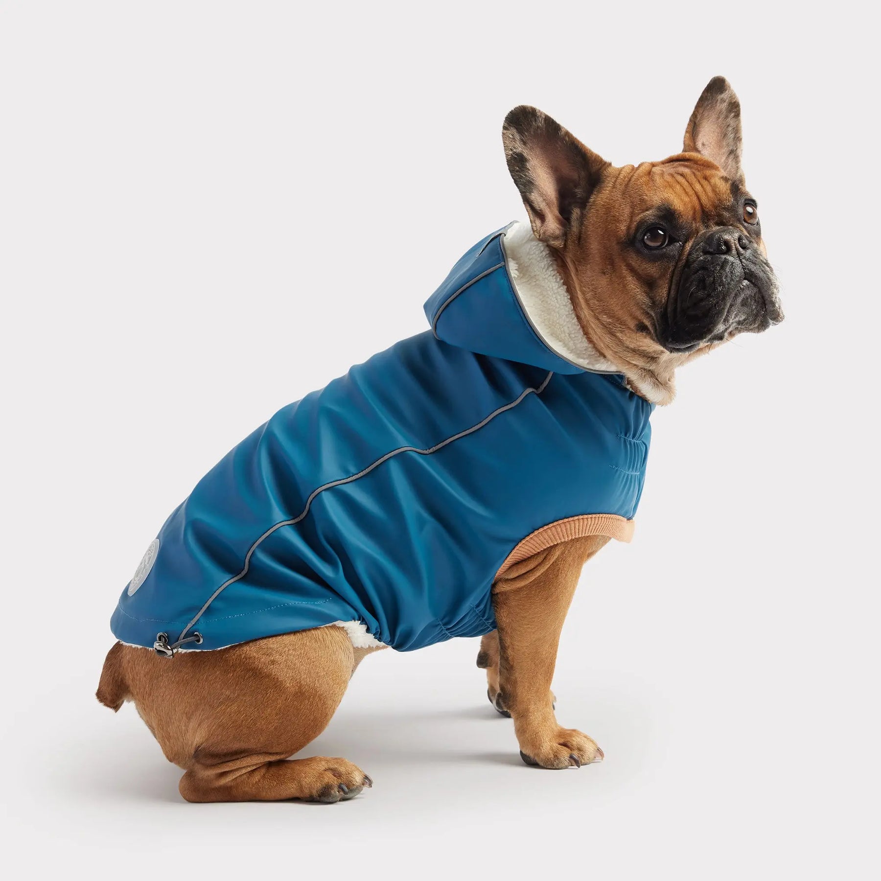 Insulated Dog Raincoat | Dark Blue GF PET Apparel GF Pet Official Online Store