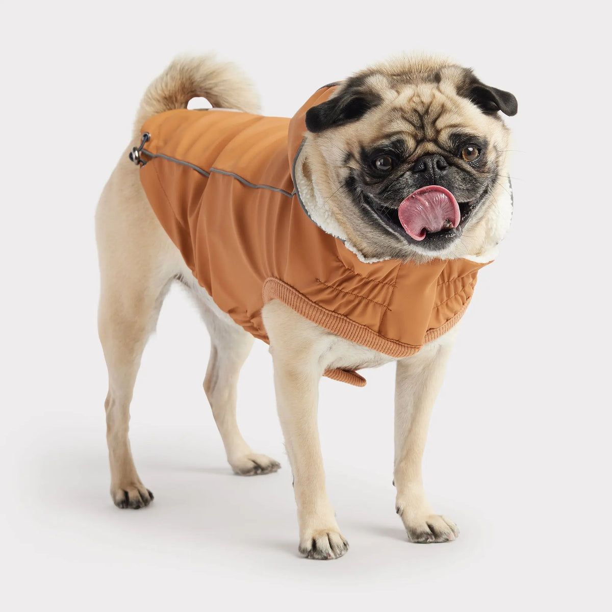 Insulated Dog Raincoat | Hazel GF PET Apparel GF Pet Official Online Store