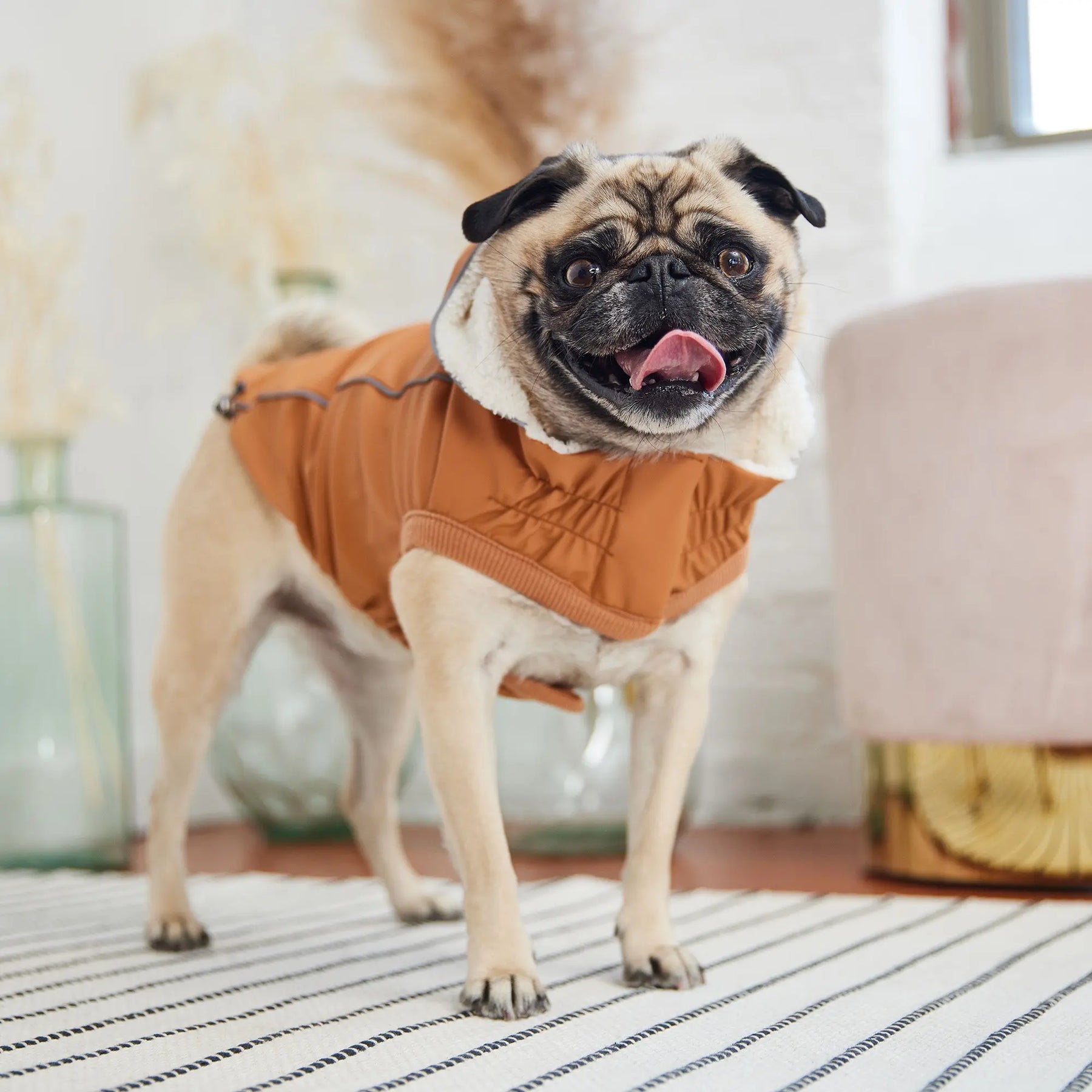 Dog Full Body Raincoat, Dogs Coats With Legs, Lightweight Waterproof Jacket, Zipper Closure, Puppy Jumpsuit With Leash Hole And Reflective Strip Safety - Red - Small 0611
