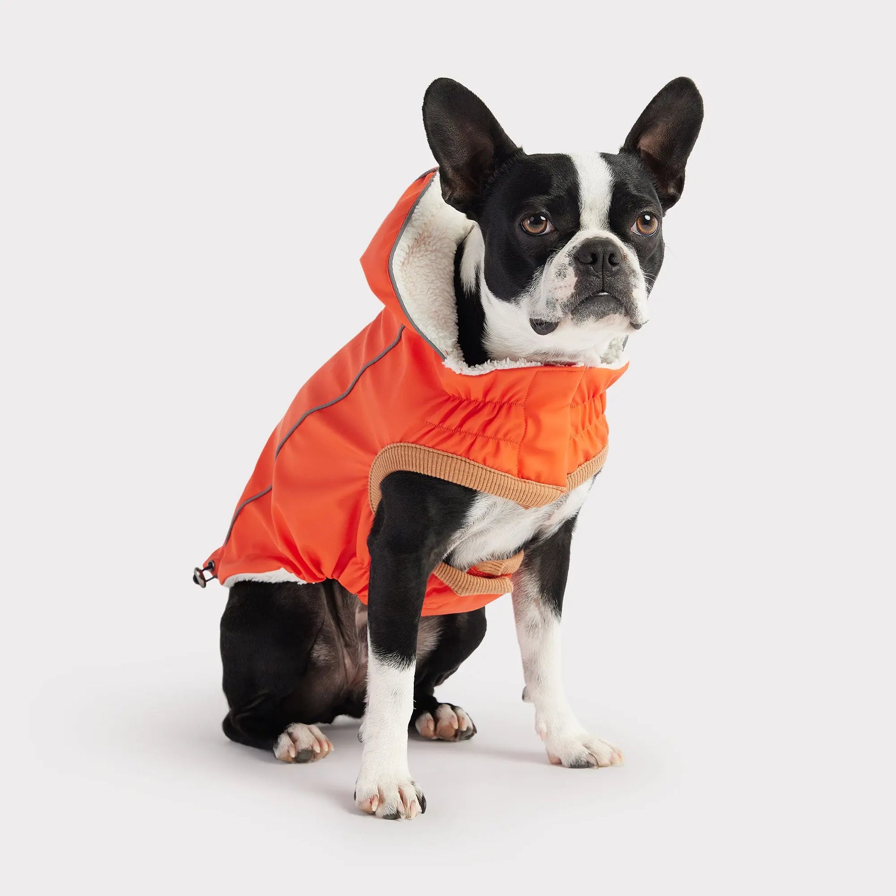 Insulated Dog Raincoat | Orange GF PET Apparel GF Pet Official Online Store