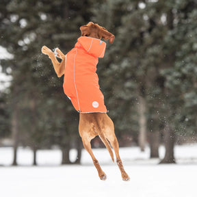 Insulated Dog Raincoat | Orange GF PET Apparel GF Pet Official Online Store