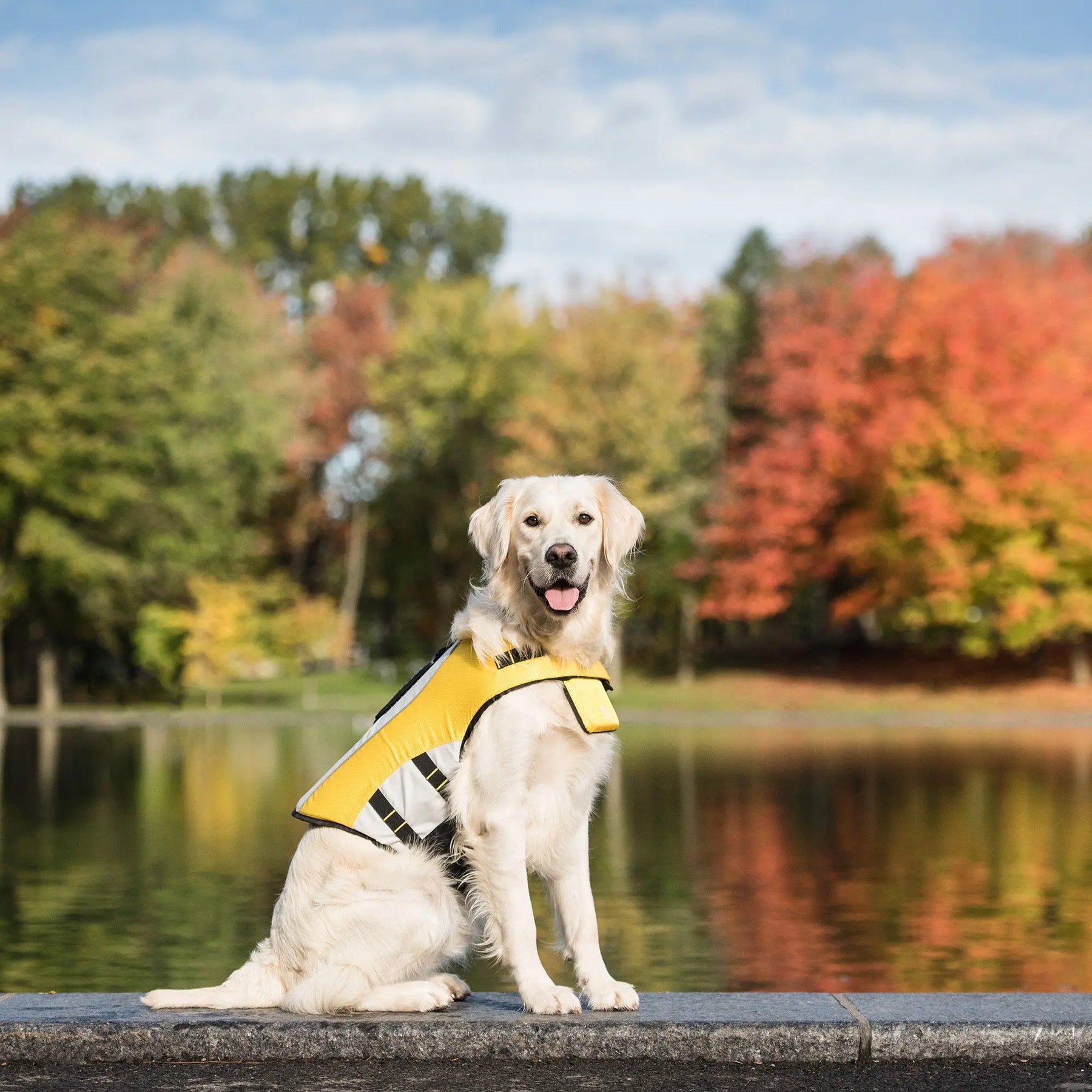 Life Vest - Yellow GF PET