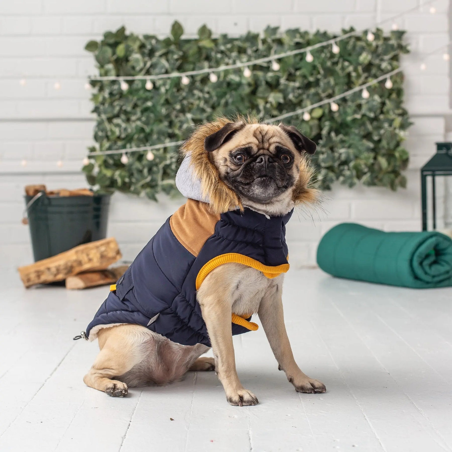 Lodge Parka - Navy GF PET