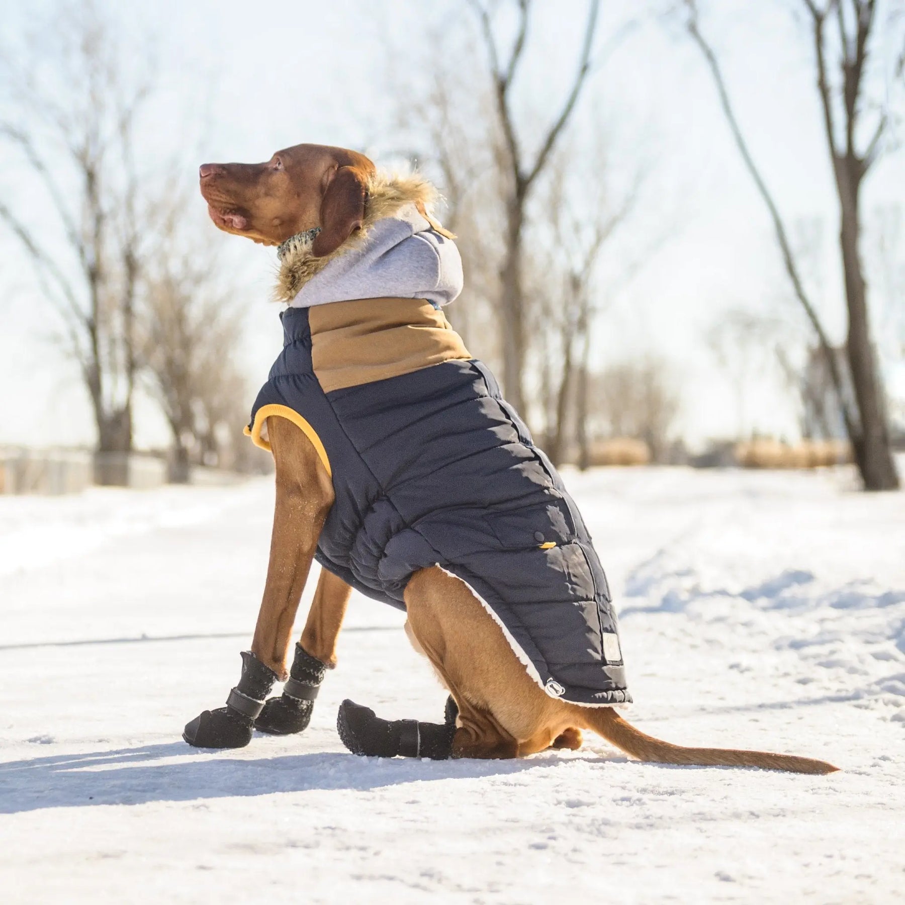 Lodge Parka - Navy GF PET