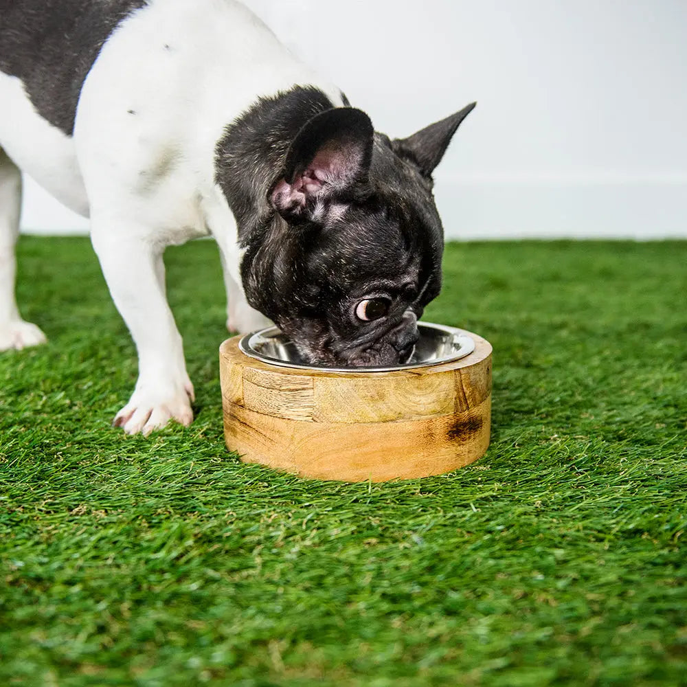 Mango Wood Bowl GF PET