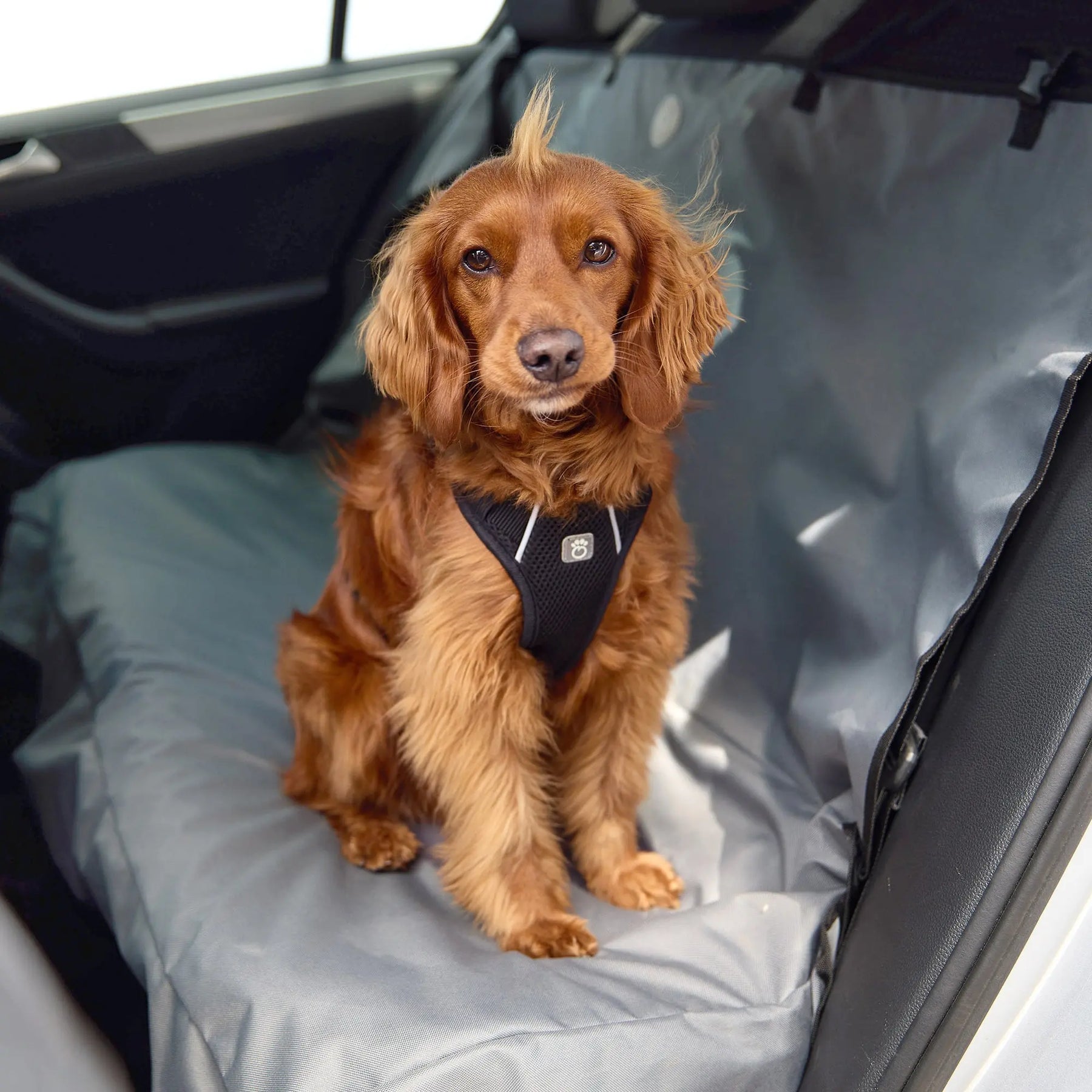 Couverture pour chien Siège arrière et coffre - Bench de voyage - Bench de  voiture 