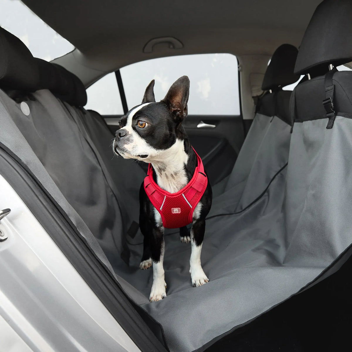 Grehge Waterproof Dog Car Seat Cover For Front Seat - Non-Slip, Washable, Protects From Fur & Dirt, Black