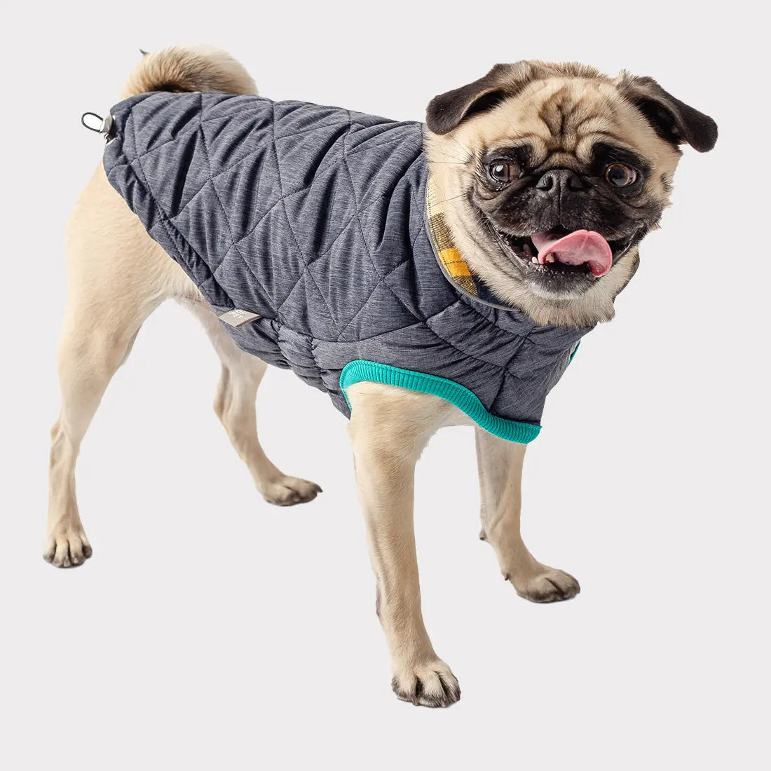 RV Trail Jacket GF PET