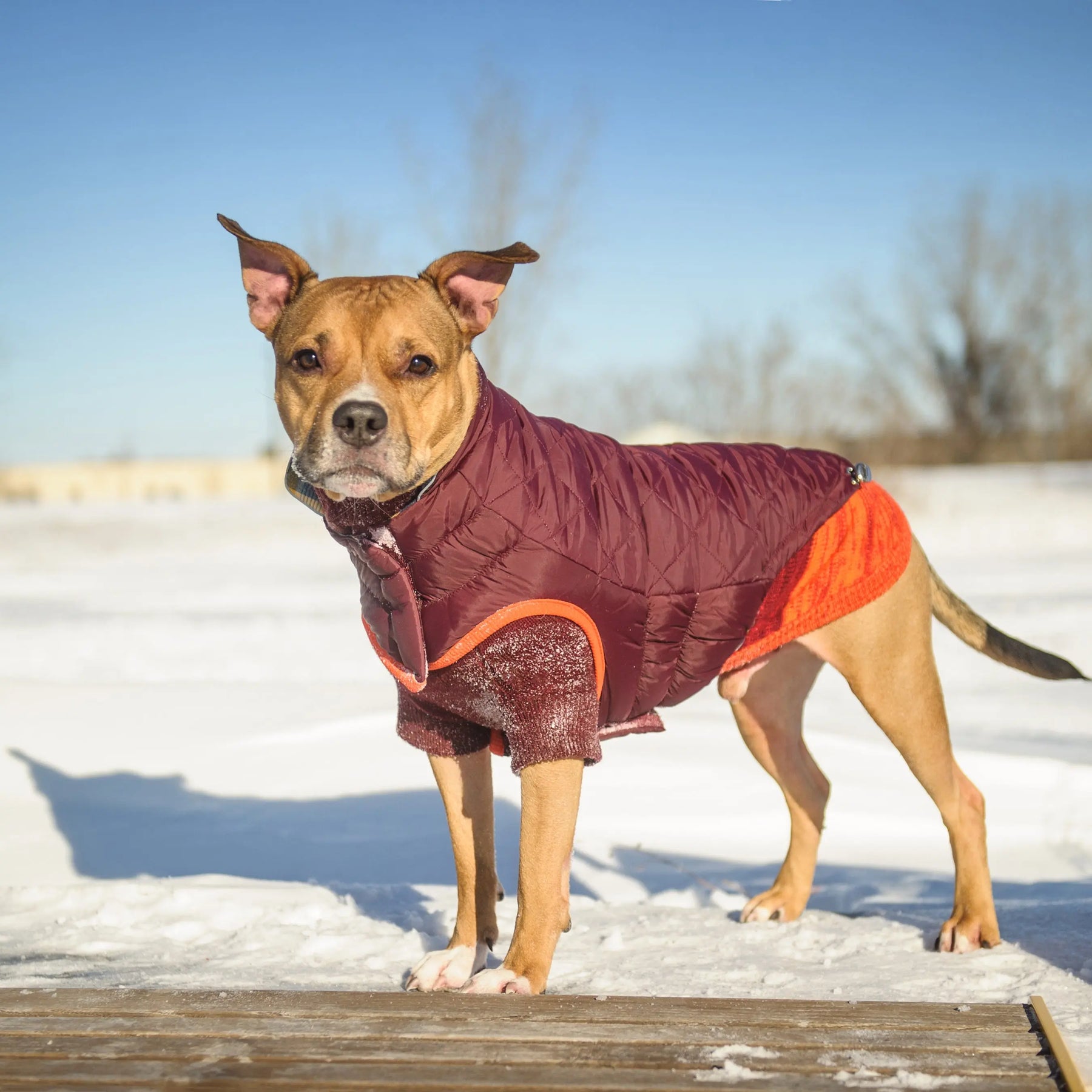 RV Trail Jacket GF PET