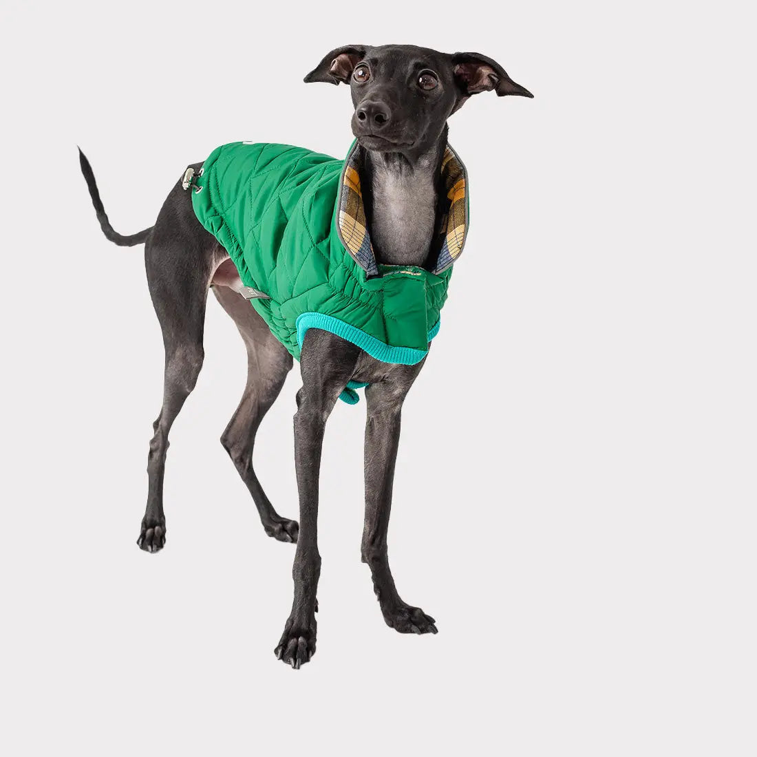 RV Trail Jacket GF PET