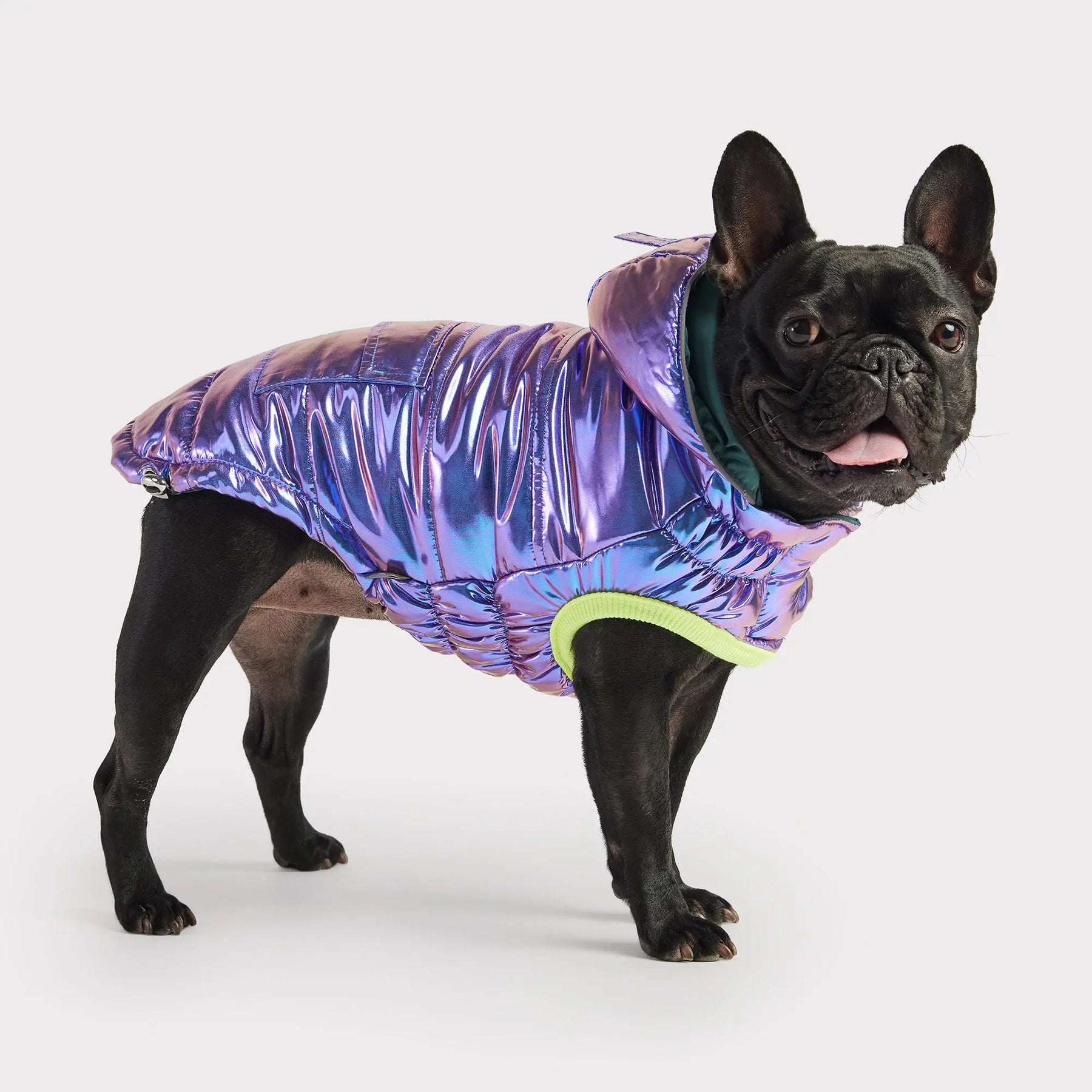 Recycled Parka Dog Coat | Iridescent GF PET Apparel GF Pet Official Online Store