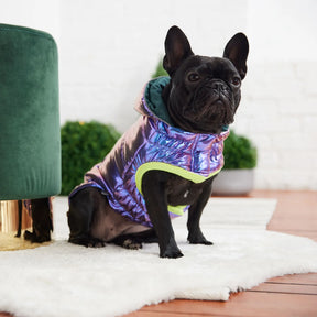 Recycled Parka Dog Coat | Iridescent GF PET Apparel GF Pet Official Online Store