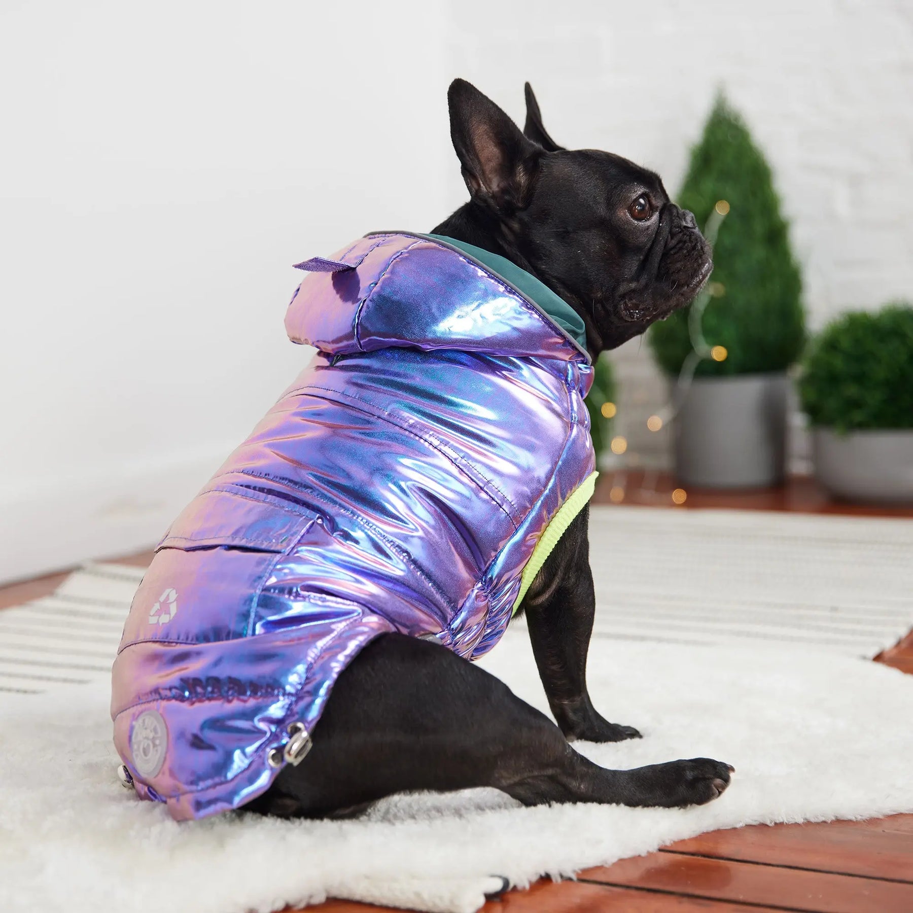 Recycled Parka Dog Coat | Iridescent GF PET Apparel GF Pet Official Online Store